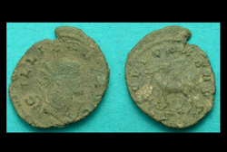 Gallienus Zoo, Goat reverse, O My!
